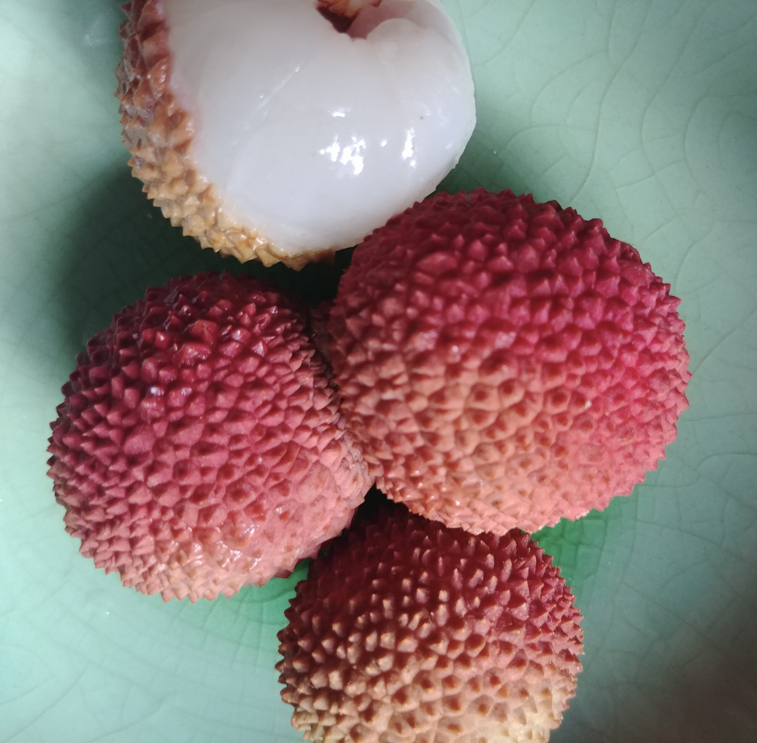 lychee green fruit photo