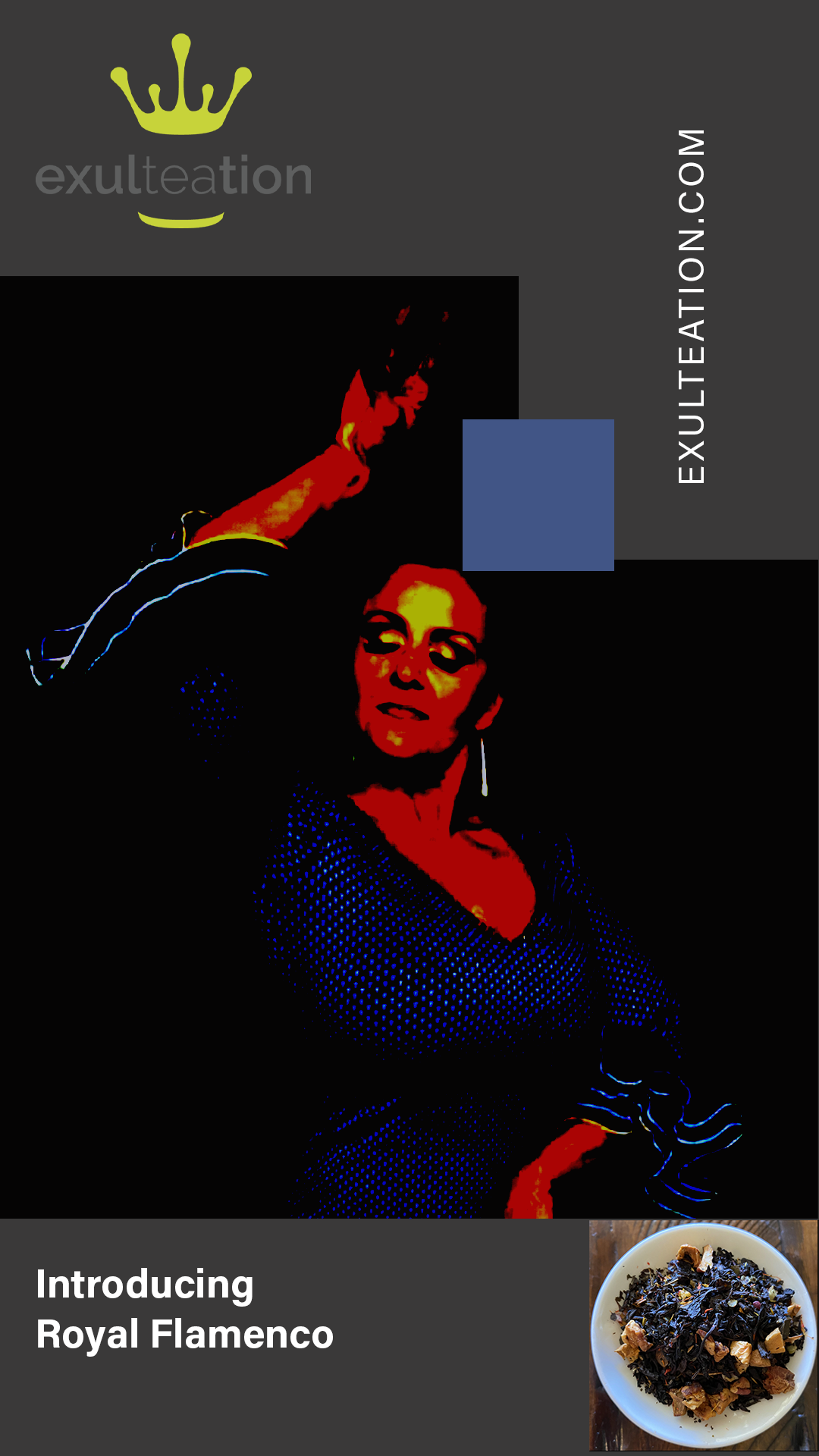 royal flamenco dance