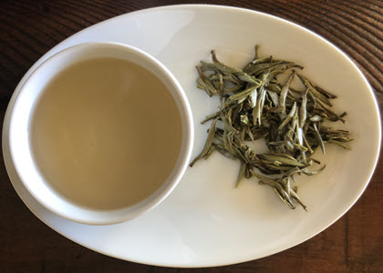 Silver Needle Cuppa and Wet Buds