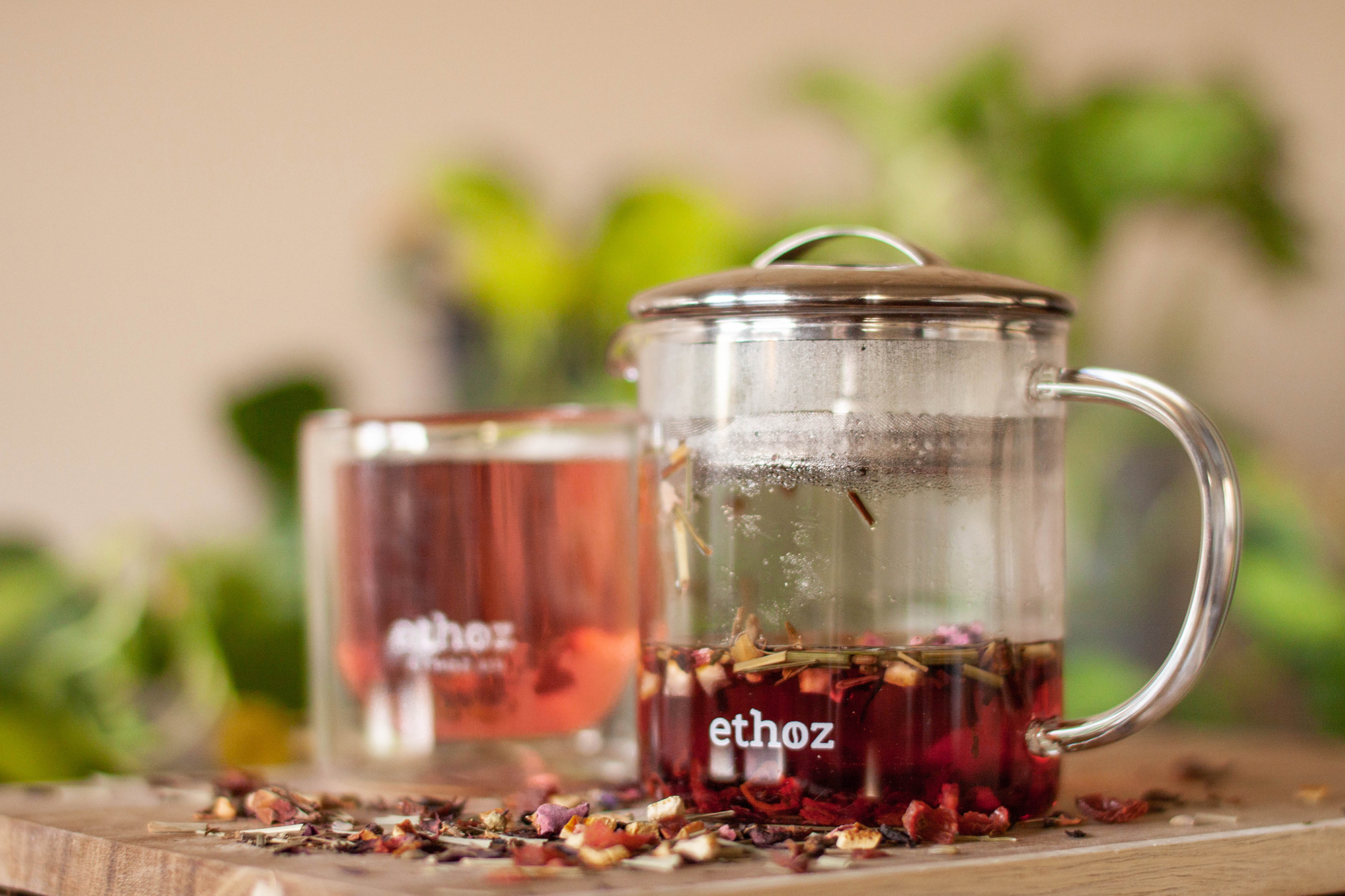 ethoz tea brewer kitchen 38